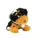 Adota Pets Coockie - multikids - BR1067
