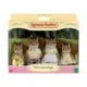 Sylvanian Families - Familia Dos Esquilos Noz.