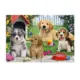 P30 Cachorros Fofinhos