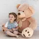 Urso Charles Gg Bege