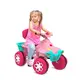 Smart Quad Passeio Pedal (Ro