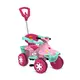 Smart Quad Passeio Pedal (Ro
